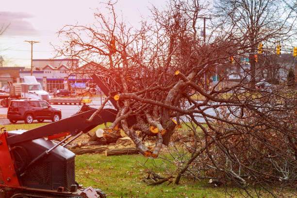 Best Leaf Removal  in Blue Ash, OH